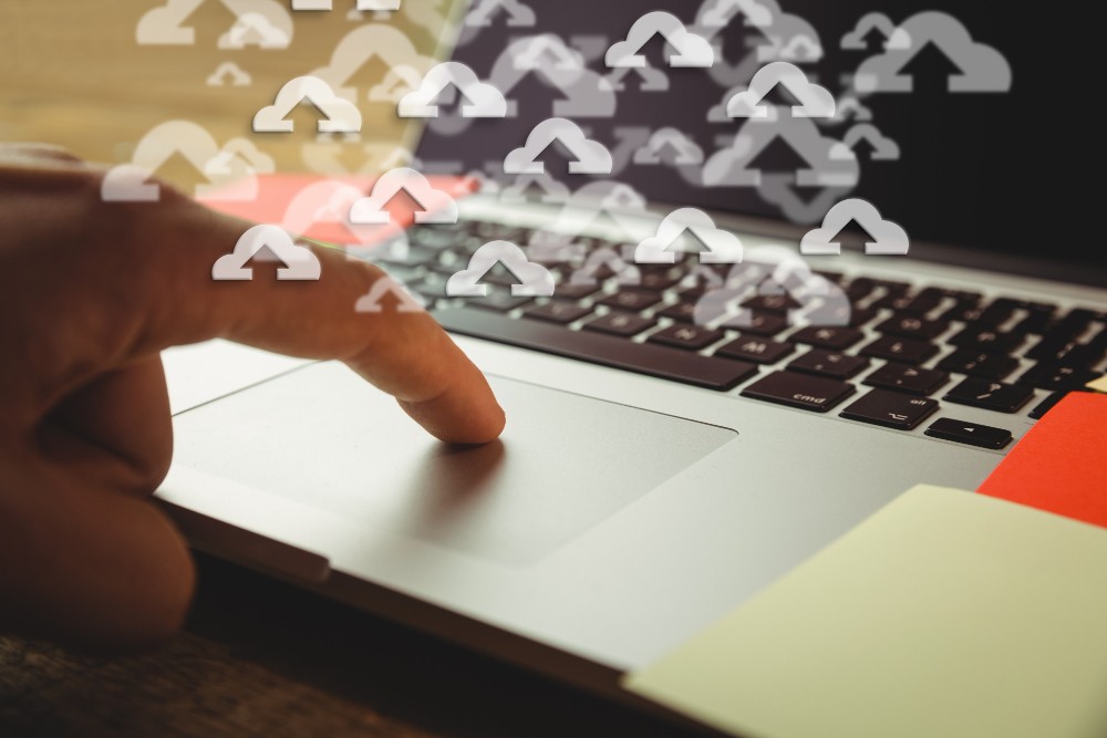 Что такое SEO?